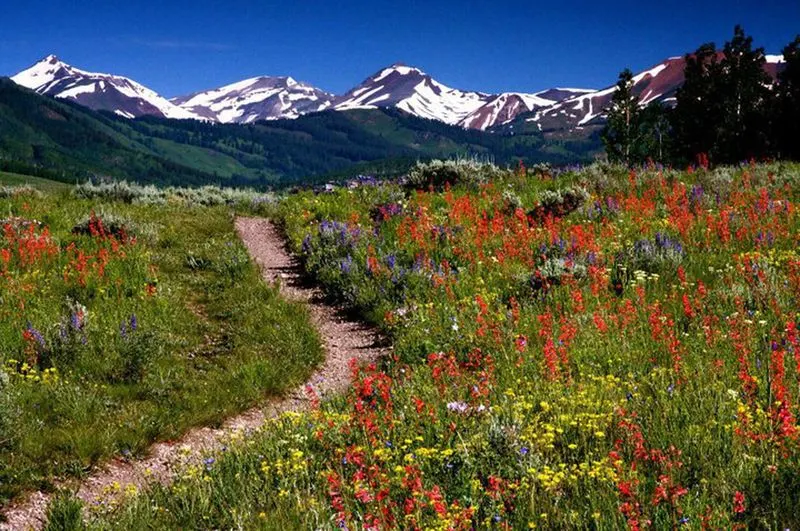 White River National Forest