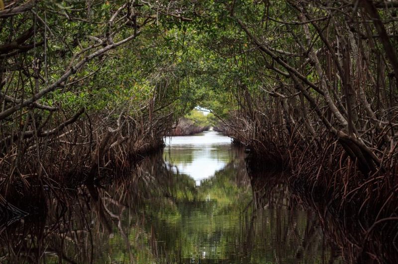 Everglades National Park, Florida