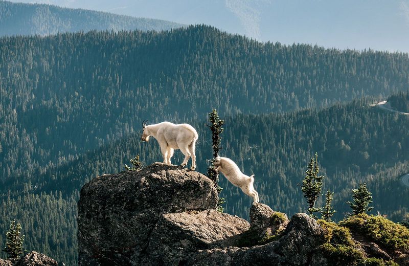 Olympic National Park (Washington)