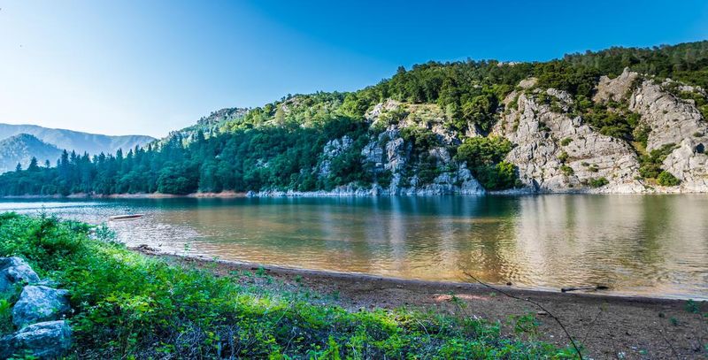 Stroll Through Shasta Lake's Hidden Trails
