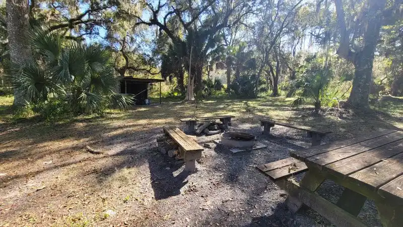 Camp Under the Stars at Lake George State Forest