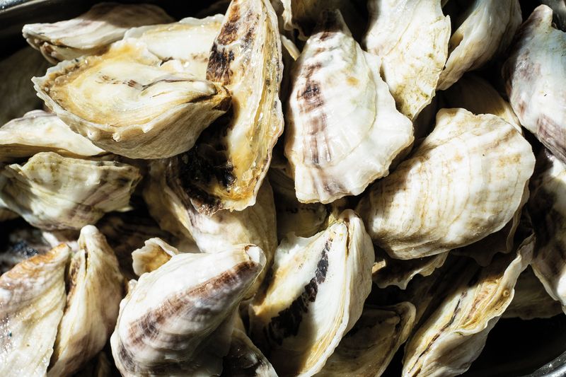 Sample Fresh Gulf Coast Seafood