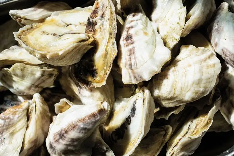 Sample Fresh Gulf Coast Seafood
