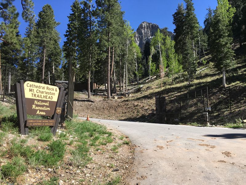Mount Charleston / Spring Mountains (NV)