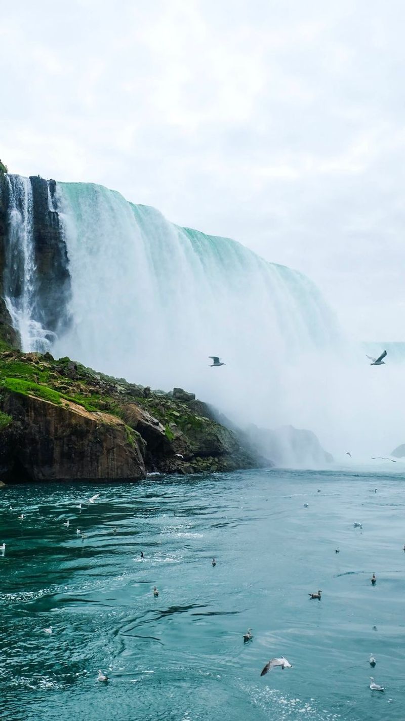 Niagara Falls