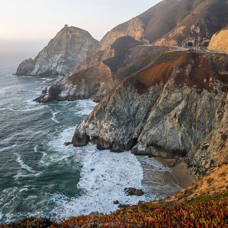 Half Moon Bay — Coastal Wildflowers and Bluff-Top Blooms