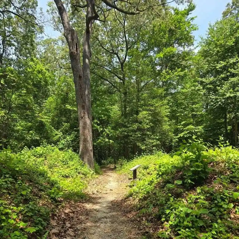 Fort Henry Trails: Echoes of the Past