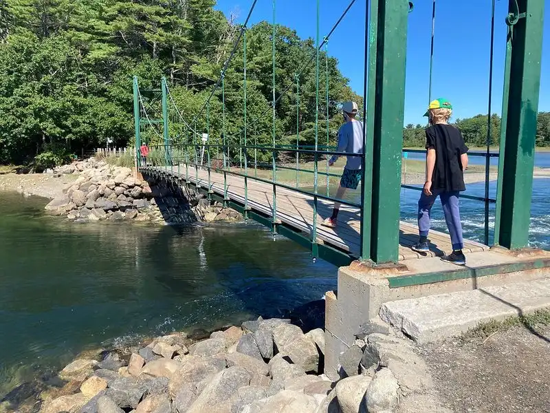 Wiggly Bridge and Steedman Woods