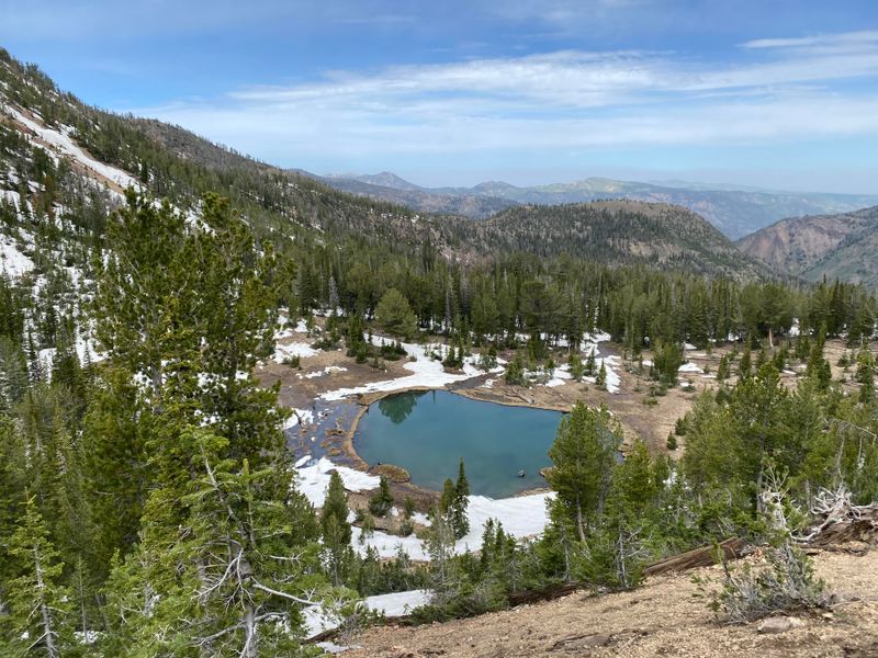 Jarbidge