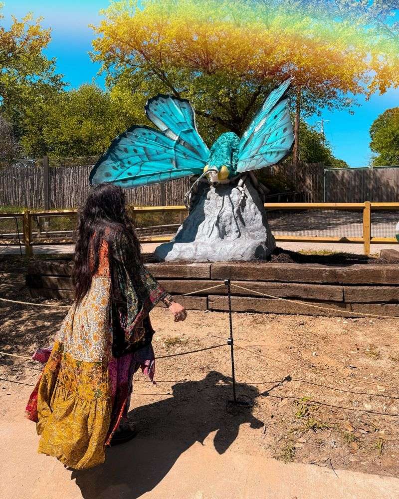 Butterfly Garden: Native Wildflowers and Nectar Plants