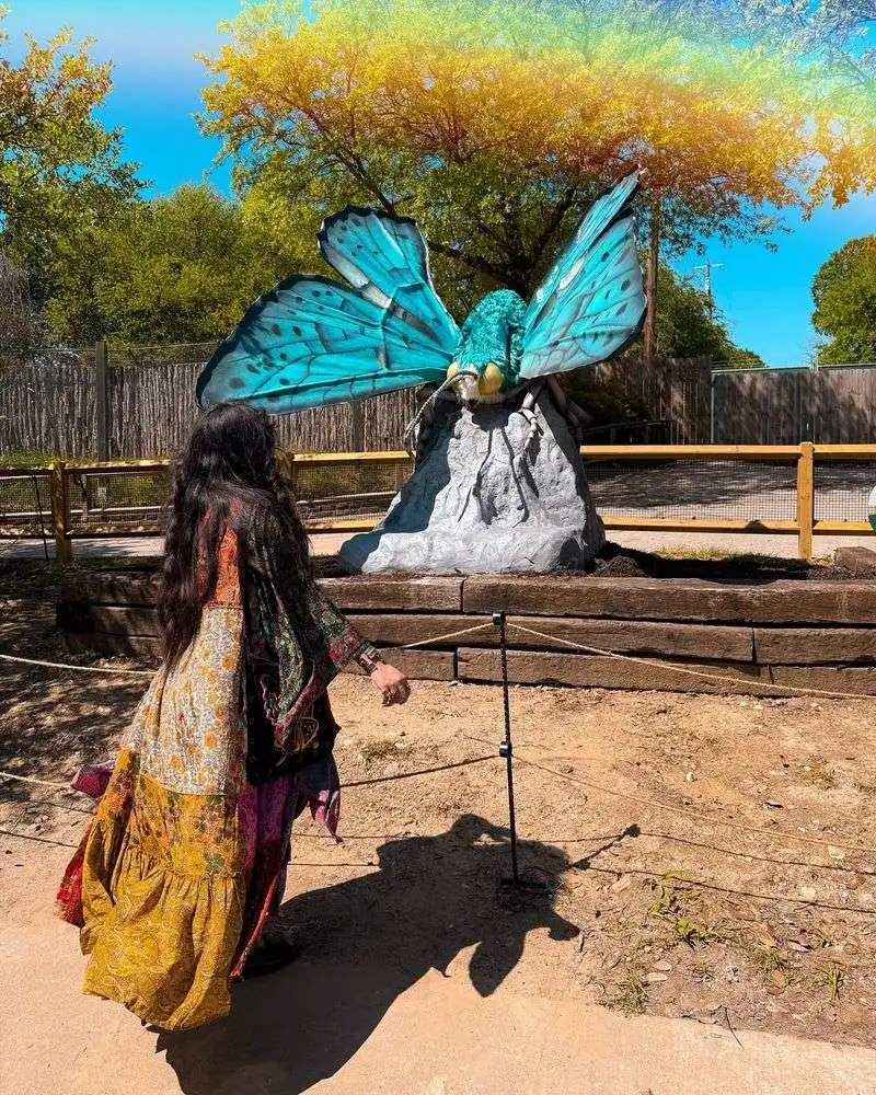 Butterfly Garden: Native Wildflowers and Nectar Plants