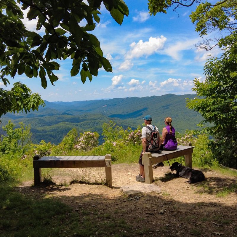 Picnic Spots That Don’t Feel Crowded