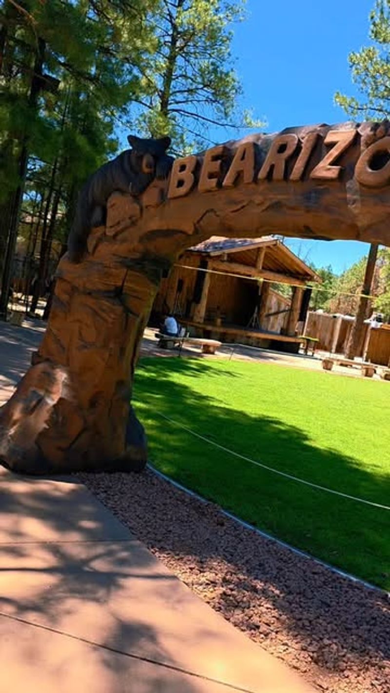 Bearizona Wildlife Park – Drive Through a Forest With Wolves and Bison