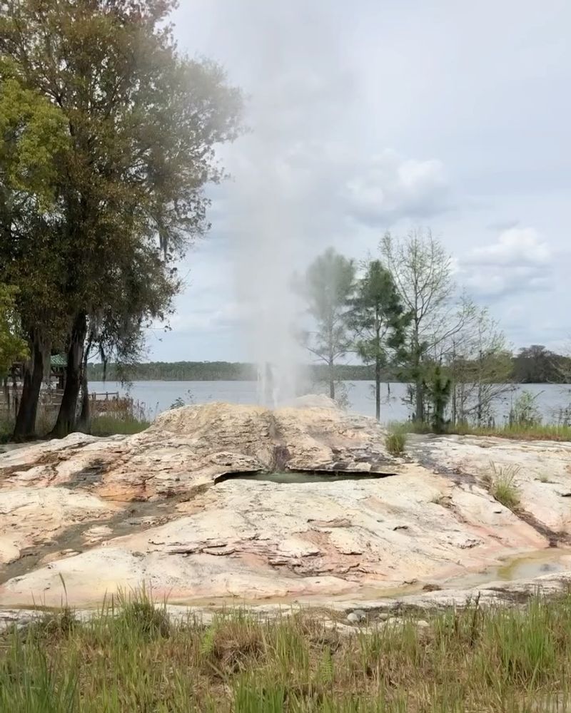Wilderness Lodge's Geyser