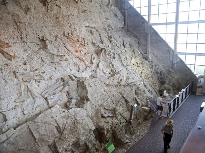 Dinosaur National Monument