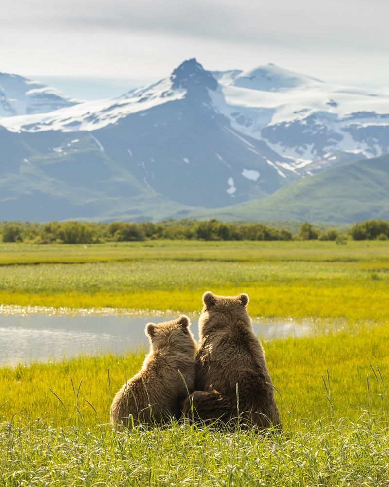Katmai National Park (Alaska)