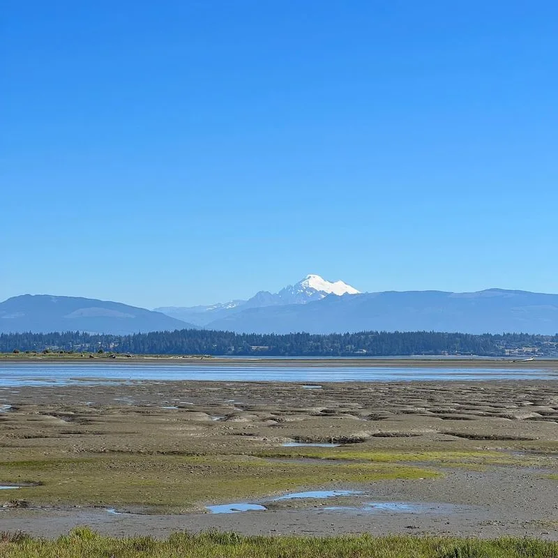 Padilla Bay National Estuarine Research Reserve, Washington