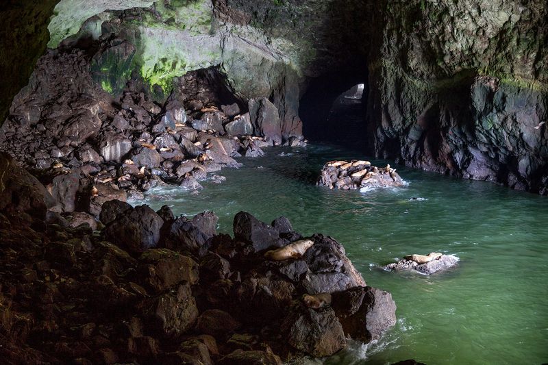 Sea Lion Caves, USA