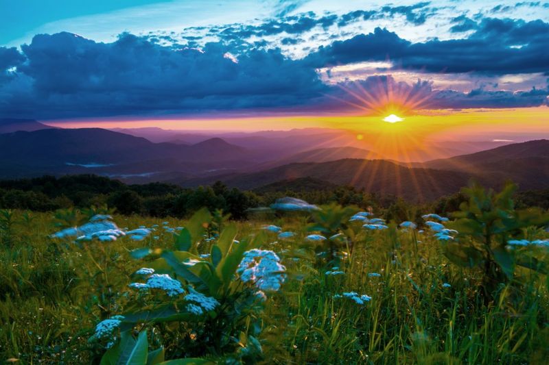 Max Patch, North Carolina – A 360° Grassy Bald