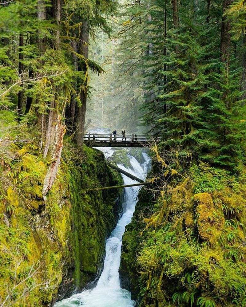 Olympic National Park