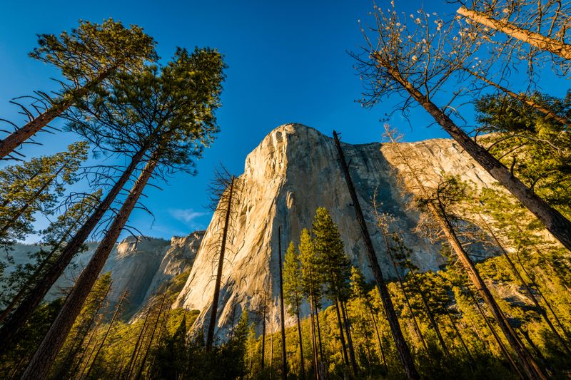 Yosemite National Park, California