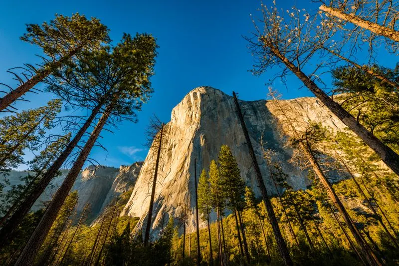 Yosemite National Park, California