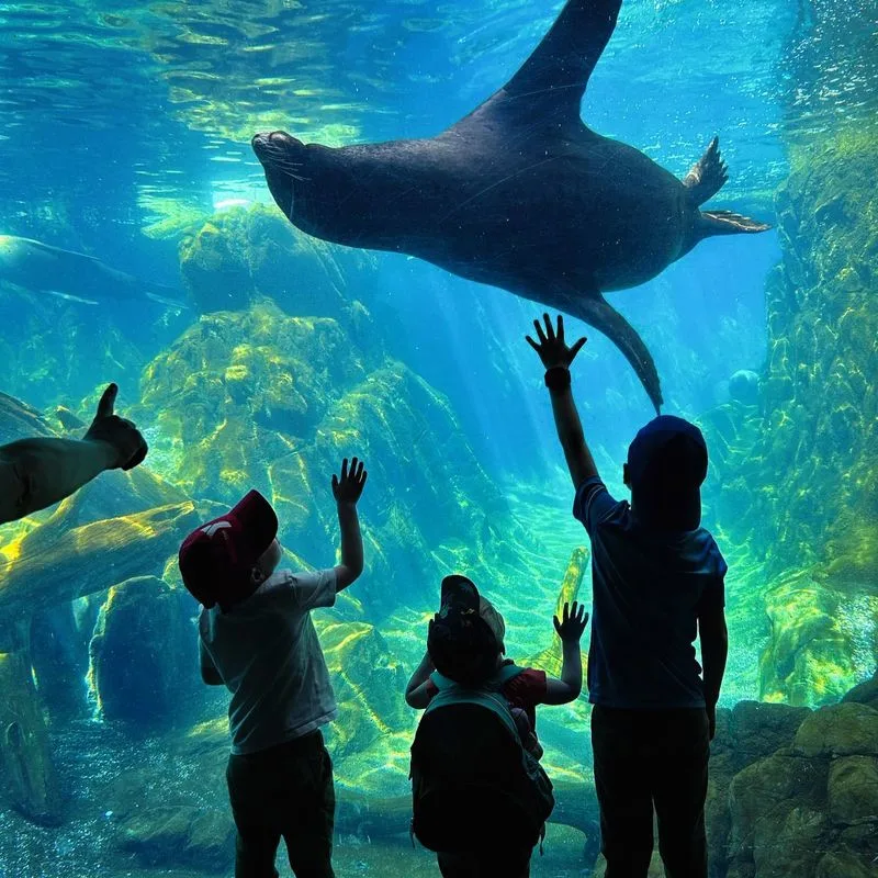 Omaha’s Henry Doorly Zoo and Aquarium (Omaha)