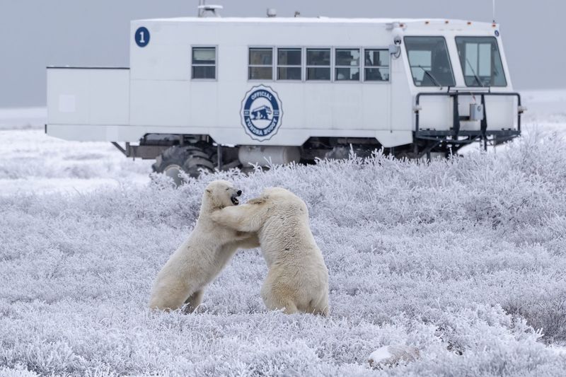 Churchill, Manitoba