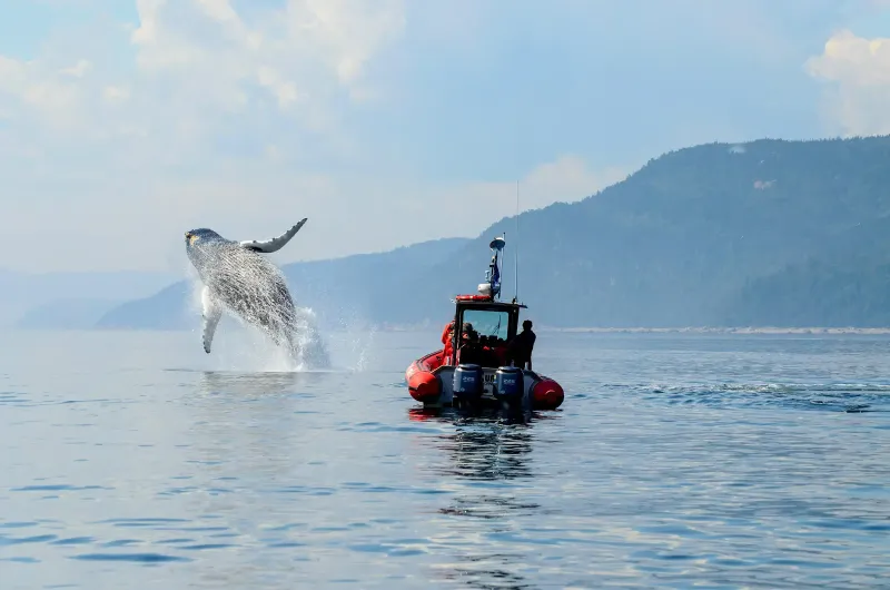 Saguenay Fjord, Quebec