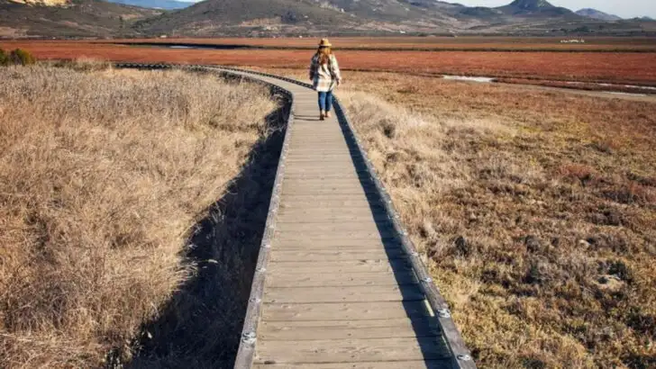 Halfway Between L.A. and San Francisco Lies a Charming Seaside City Most Travelers Miss