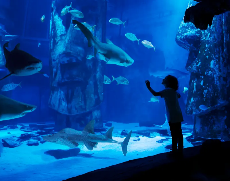 Sea Life London Aquarium