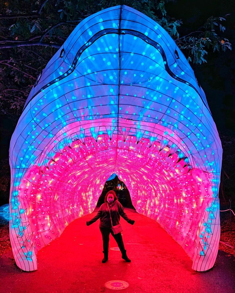 Franklin Park Zoo