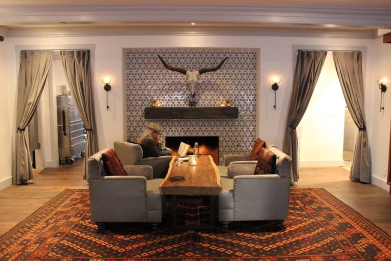 Bear & Star – Los Olivos