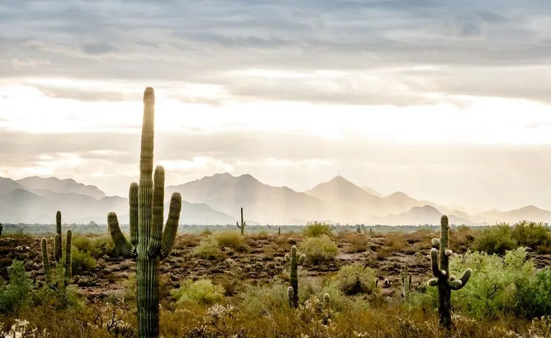 Cave Creek
