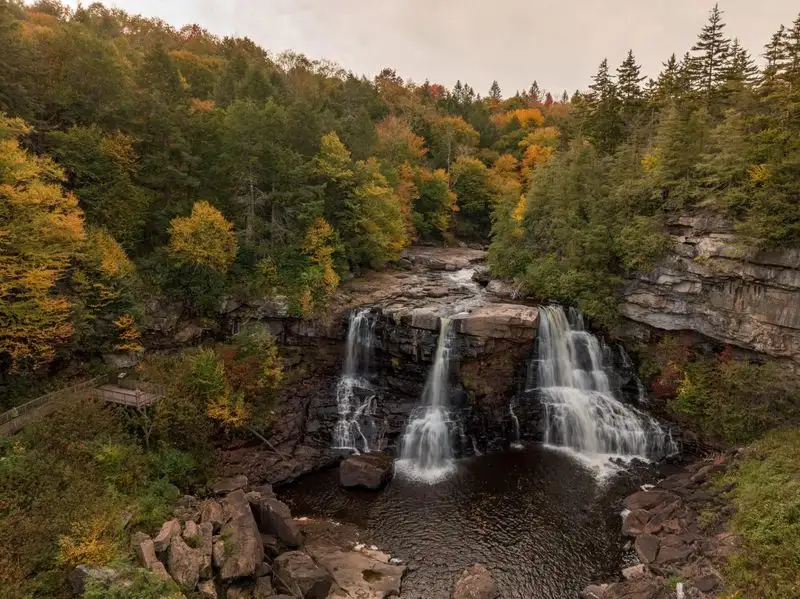 Blackwater Falls