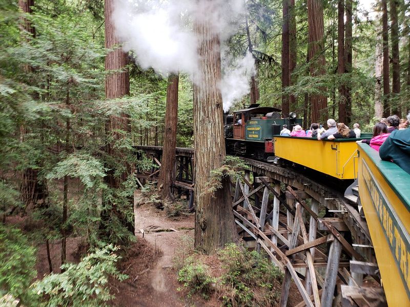 Roaring Camp Railroads