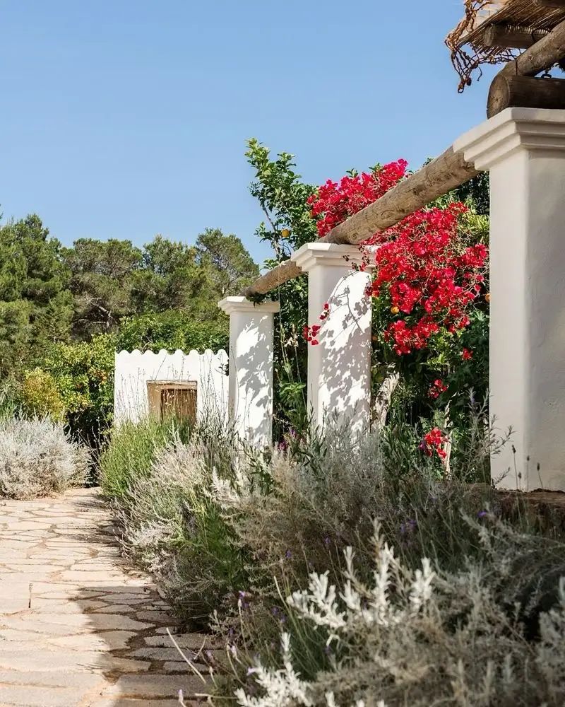 Native Garden Styles Replaced by Low-Maintenance Imports