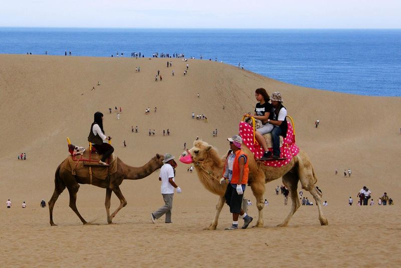 Tottori Sand Dunes (Tottori Prefecture)
