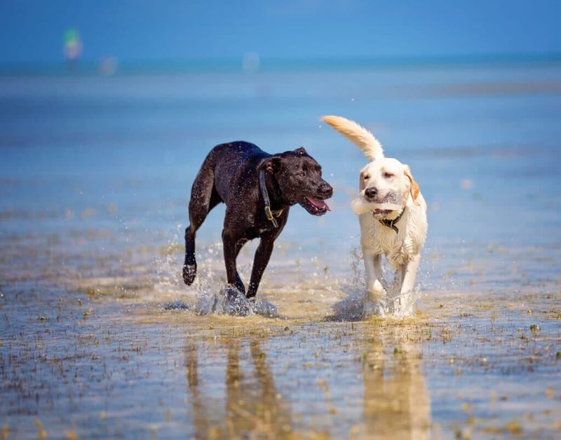 Cape San Blas – Florida Panhandle