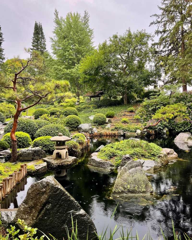 See Water Lilies and Peonies at Minnesota Landscape Arboretum (Chaska, MN)
