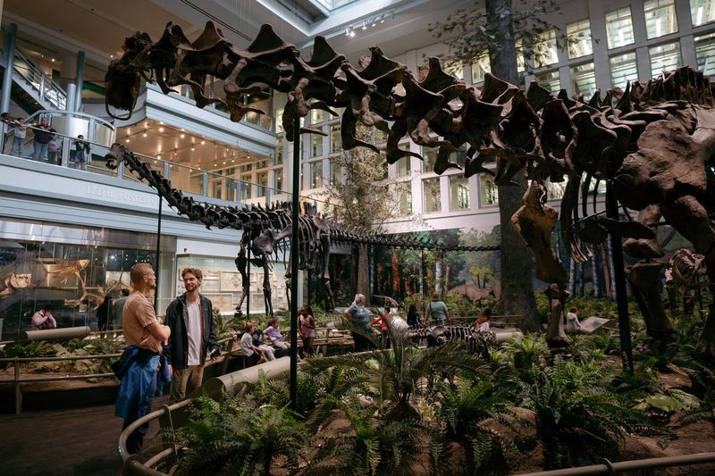 Discover the Carnegie Museum