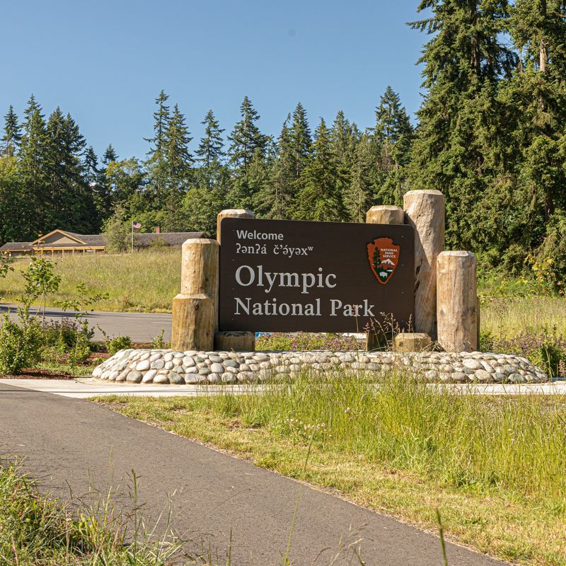 Stop by the Olympic National Park Visitor Center in Port Angeles