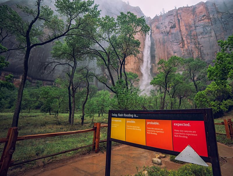 Stop by the Zion Nature Center