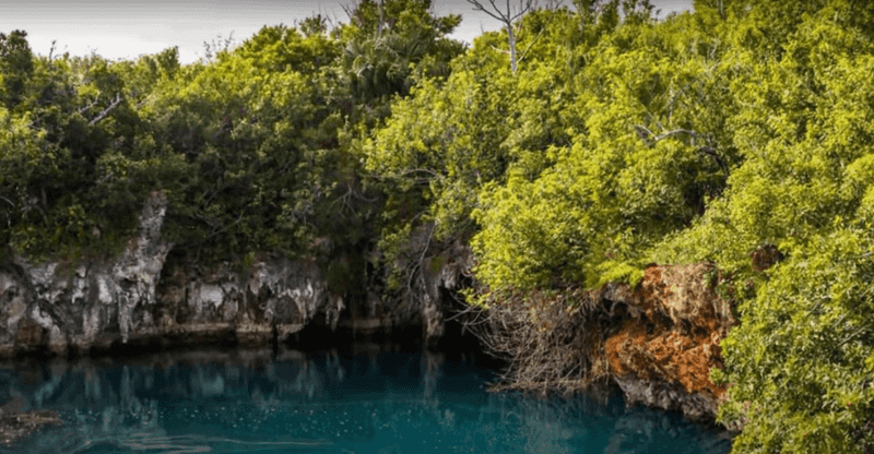 Caving Adventures in Walsingham Nature Reserve