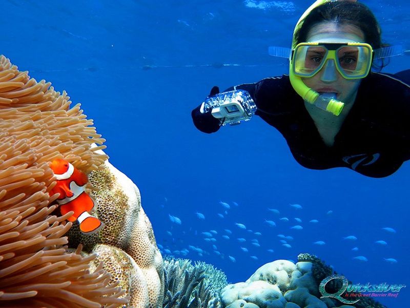 Snorkeling in the Great Barrier Reef