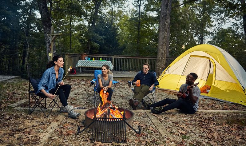 Camping Under the Stars: A Sky That Still Feels Wild