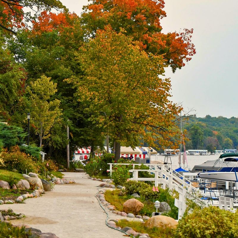 Picturesque Hiking Trails through the Woods