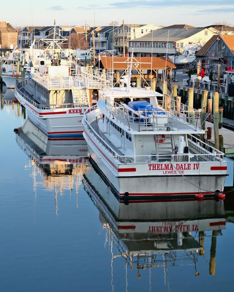 Harbor Walk: Strolling Along Working Docks and Marinas