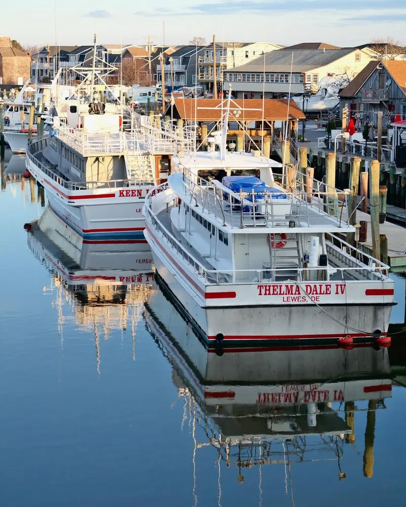 Harbor Walk: Strolling Along Working Docks and Marinas