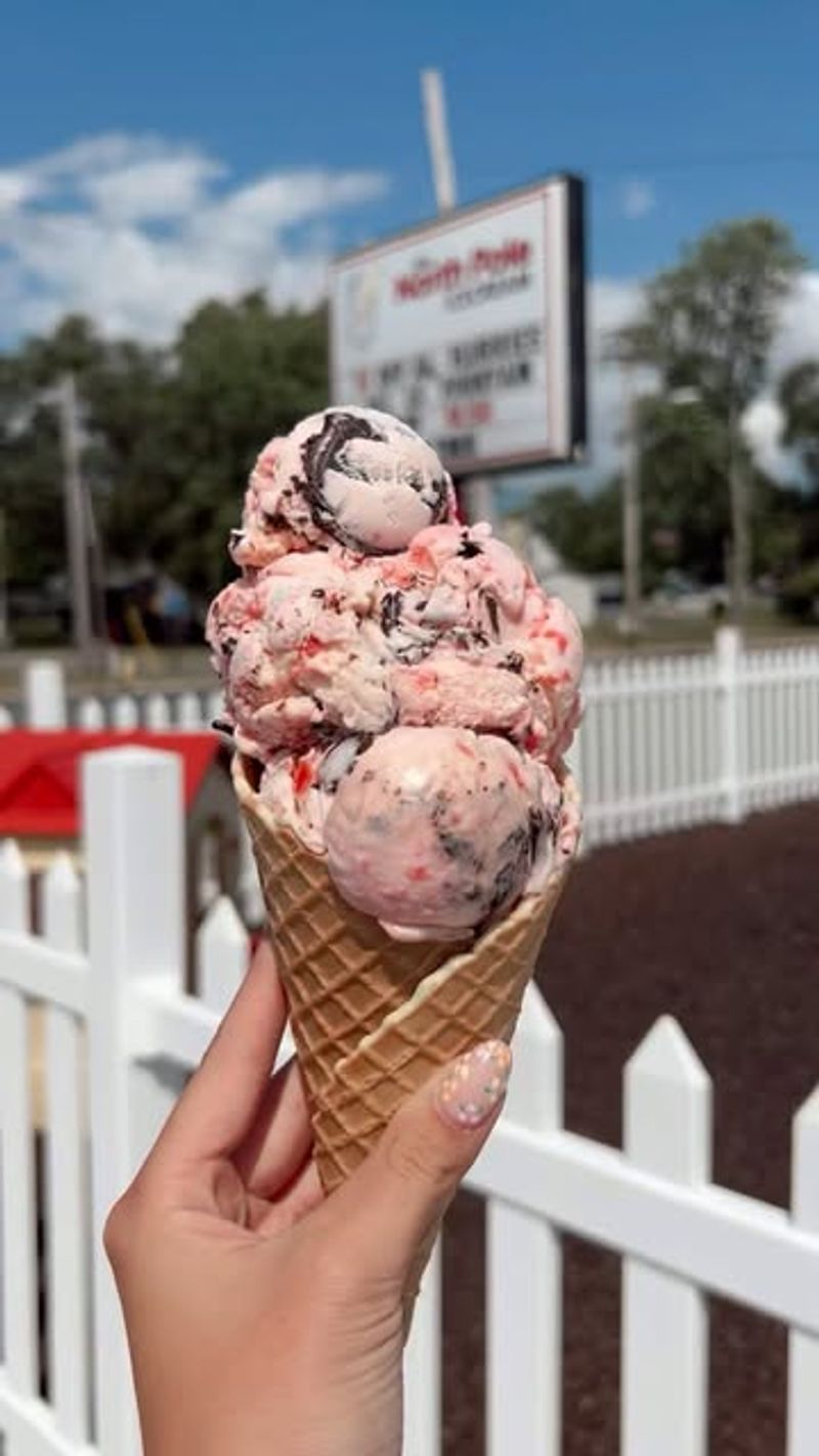 Ice Cream Shops in Downtown Traverse City